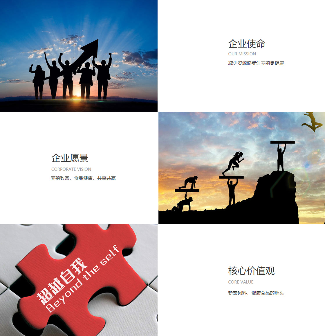 开云集团官网(图1)